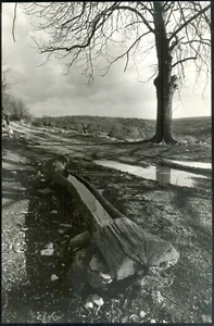 Grande photo argentique Années 70 - Auteur inconnu mais talentueux - 29,5x19 - Bild 1 von 1