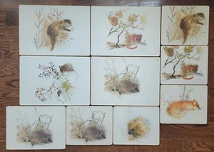 Set of 10 Vintage Lady Clare Mads Stage Signed Watercolor Placemats Wildlife - Picture 1 of 7