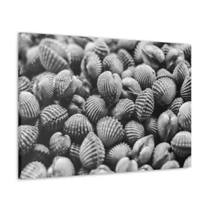 Wall Art Print Home Decor seashells Food Black and white Hanging Canvas Framed - Picture 1 of 22