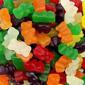Sugar Free Gummy Bears Candies 6 LBs Bulk Candy Gummies FREE SHIP 48 STATES - Picture 1 of 5