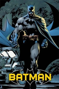 Póster fuerte de Batman 66 de DC Comics talla 61 x 91,5 cm - Imagen 1 de 2