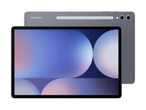 Samsung Galaxy Tab S10+ SM-X820N WIFI Only 256GB Moonstone Gray Very Good - Picture 1 of 1