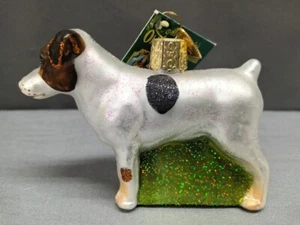 Vecchio Mondo Natale "JACK RUSSELL TERRIER" Razza Cane 2006 Decorazione Vetro - Nuovo - Foto 1 di 6