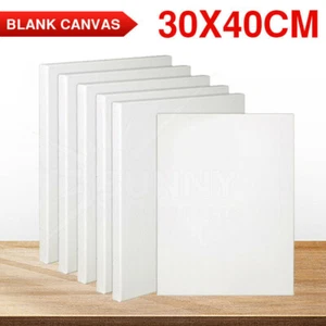 5x Artist Blank White Stretched Canvas Super Value Acrylic Wood 30X40cm - Picture 1 of 9