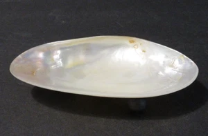 Two’s Company kleine Cabebe Shell Schmuck Seifenschale mit Metallfüßen - 3,75"x2,25" - Bild 1 von 5