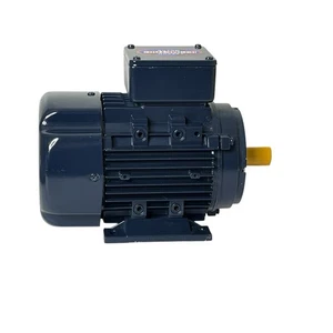 Leeson 192028.00 IEC Metric Motor 1/3 HP 230/460V C71T17FZ3C - Picture 1 of 7