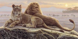 Lions of the Mara, Kalon Baughan, Wall Decor Art Print Poster 11" x 14" 1526 - Picture 1 of 1