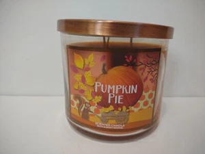 Pastel de calabaza Bath & Body Works ~ Vela perfumada grande de 3 mechas ~ ardilla de 14,5 oz  - Imagen 1 de 8