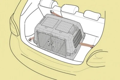 Kerbl Sicherheitsgurt für Transprotbox Gulliver Touring IATA 81342 - Bild 1 von 3