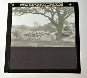 Antike edwardianische s/w Glas magische Laterne Dia Nevill Park Tunbridge Wells Kent - Bild 1 von 3