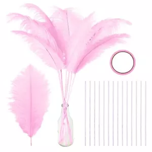 14 Pieces Pink Ostrich Feathers for Craft Wedding Home Party Decorations 28-3... - Picture 1 of 7