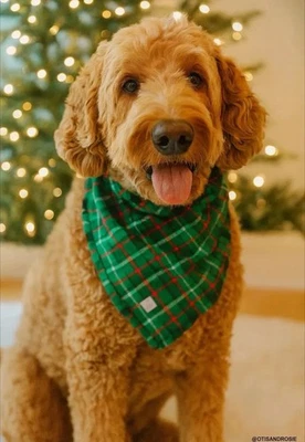 Bandana xadrez verde algodão para cachorro Lands' End tamanho grande 20 x 20 filhote de férias nova - Imagem 1 de 4