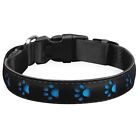 LED Lichthalsband für Hunde, wiederaufladbares Hundehalsband, leuchtendes Halsband 79277