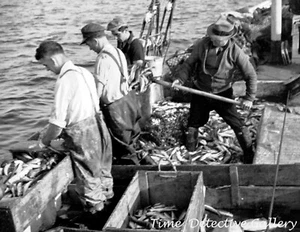 Fischer, Provincetown, Massachusetts - 1937 - Vintage Fotodruck - Bild 1 von 1
