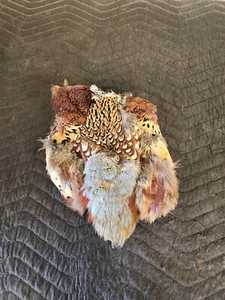 (2 Pack) Ringneck Pheasant Skin Hide Hackle Feathers Fly Tying Arts & Crafts - Picture 1 of 5