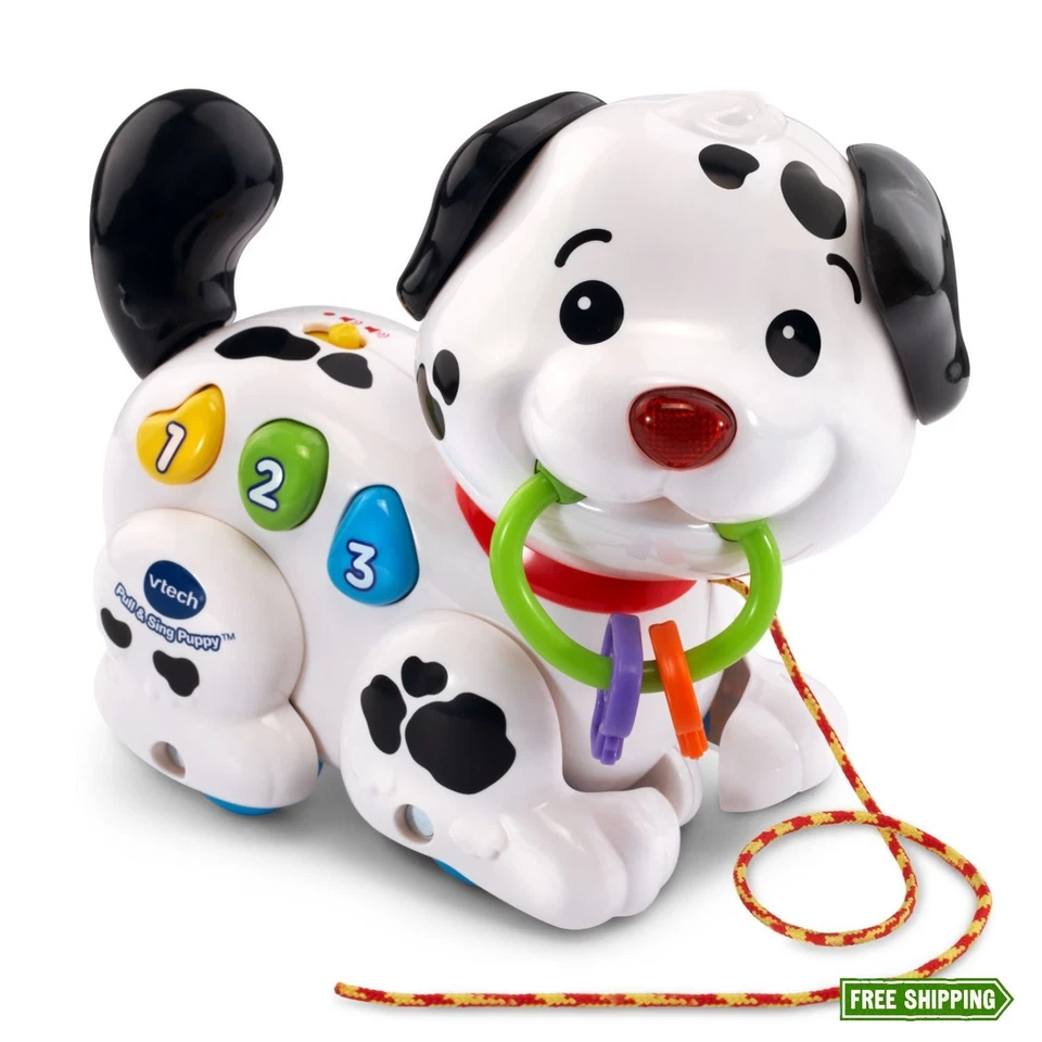 VTech Pull and Sing Puppy Multicolor