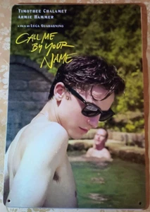 CALL ME BY YOUR NAME Tin Sign 8x12 Art Gay Timothée Chalamet Luca Guadagnino - Picture 1 of 4