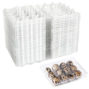 100 x quail egg box Plastic boxes cartons flat top Buy 3 Get 1 Free - Picture 1 of 3