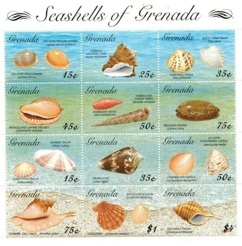 Grenada - 1993 - Seashells - Sheet Of 12 - MNH Cover