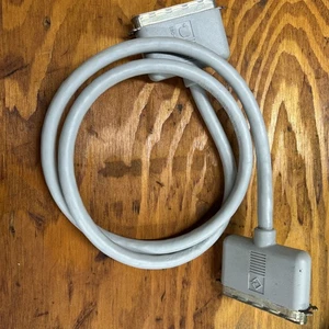 Apple SCSI a SCSI cavo da 25 a 50 pin vintage Macintosh 590-0306-A - Foto 1 di 5