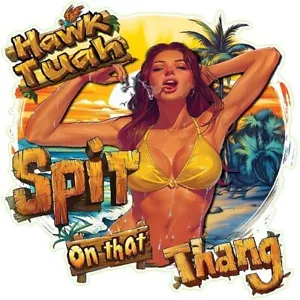 Hawk Tuah Spit On That Thing Printed & Laminated Window Decal Sticker CarBumper - Bild 1 von 1
