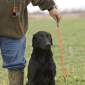 Avery Sporting Dog Greenhead Gear Trainer's Heeling Stick Blaze Orange Bumper - Picture 1 of 14