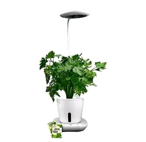 Neu im Karton Farm Culture Hydrokultur Grow Pad Mini Indoor Garten für Kräuter/Microgreens - Bild 1 von 6