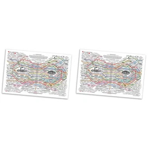 2X Poster Rete di Guarigione, Rimedi Naturali, Diagramma, Tela, Arte da Parete2927 - Foto 1 di 6