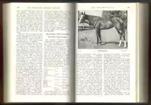 Bloodstock Breeders Review 1931 Band 20 Pferderennen illustriert - Bild 1 von 13