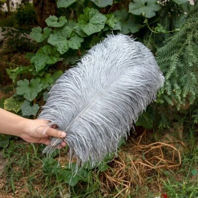10 Pcs/Lot White Ostrich Feathers for Wedding Party Decoration Craft Plumes - Image 1 of 4