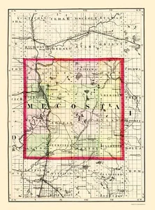 Historic County Map - Mecosta County Michigan - Walling 1873 - 23 x 31.02 - Picture 1 of 20