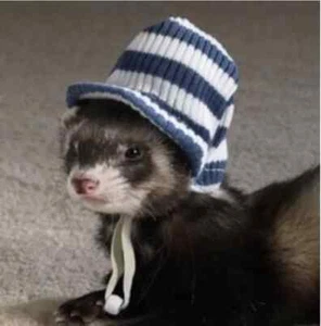 Gorra con visera de hurón Marshall a rayas azules y blancas - Imagen 1 de 2