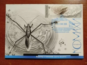 Maxicard Insectos de Ucrania Ukrposhta Hologram Kropyvnytskyi pasó correo - Imagen 1 de 2