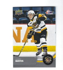 2021-22 Upper Deck CHL #237 Avery Hayes