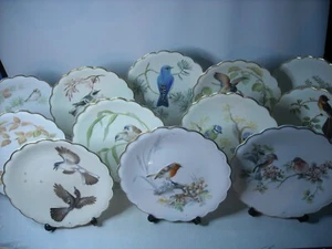 Elige UNO O MÁS Platos LOS PÁJAROS DE DOROTHY DOUGHTY Royal Worcester - Imagen 1 de 15