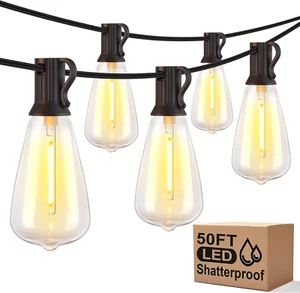 Outdoor String Lights, 50FT 2200K LED Patio Lights with ST38 Waterproof Bulbs, R - Picture 1 of 12
