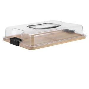 Fruit Tray Compartment Serving with Lid Camping Appetizer Plates - Picture 1 of 12