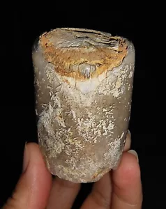 MADERA PETRIFICADA RARA, FÓSIL DE CALCEDONIA BOTRIOIDAL DE JAVA, INDONESIA, 55MM - Imagen 1 de 8