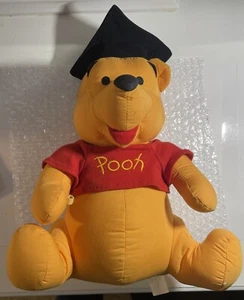 De colección Walt Disney Winnie The Pooh 12" Sombrero de Graduación Oso de Peluche - Usado - Imagen 1 de 8