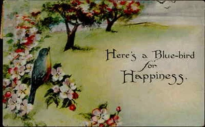 Postcard: Greetings Card - Picture 1 of 2