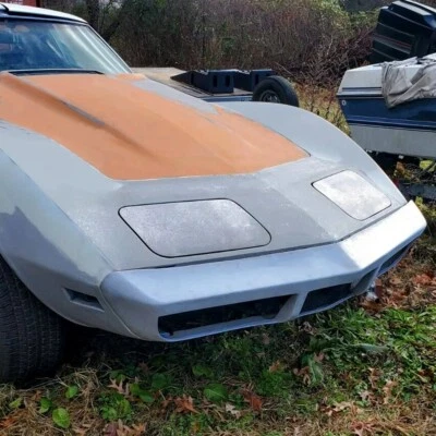 Решетка из стекловолокна для переднего бампера для Chevrolet Corvette 1973-1974 годов выпуска - Изображение 1 из 4