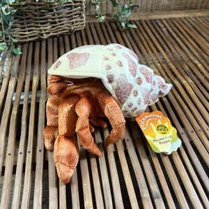 NEW PLUSH SOFT TOY Folkmanis Hermit Crab Hand Puppet School Educational - Picture 1 of 3