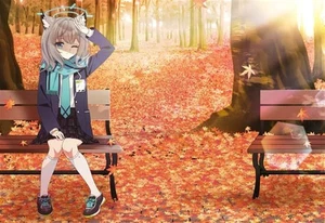 Doujin Goods Shiroko Blue Archive Circle Four Seasons Postcard Set - Picture 1 of 1