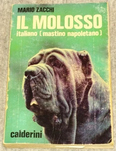 IL MOLOSSO ITALIANO MASTINO NAPOLETANO MARIO ZACCHI CALDERINI - Foto 1 di 5