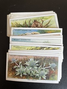 WILLS - THE SEA SHORE 1938 - FULL SET - Excellent