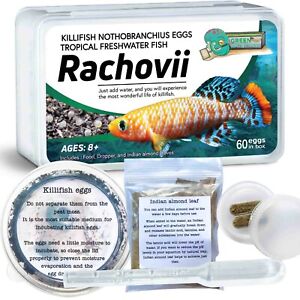 Killifish Eggs Nothobranchius - Tropical Freshwater Fish Eggs for Hatching