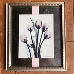 Tulips By Albert Koetsier Photography Wall Art Signed Framed Radiographic XRay - Picture 1 of 16