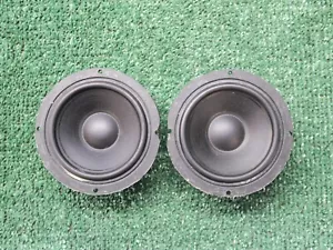 Rainbow Audio W 100 MK 2 80W Mid Range Speakers Pair Made in Germany - Picture 1 of 14