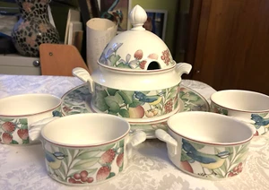 Villeroy & Boch CATALINA LARGE 7 pc Soup Set Tureen Lid Underplate 4 bowls NEW! - Picture 1 of 8