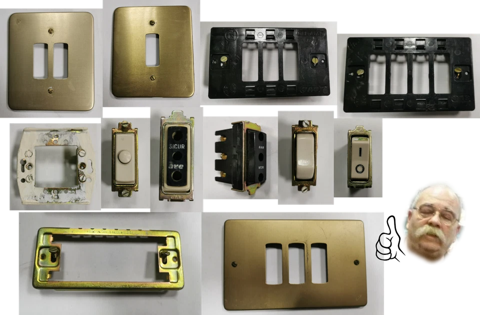 AVE GRATTACIELO FRUTTI PLACCHE PULSANTE DEVIATORE INVERTITORE INTERRUTTORE USATI - Immagine 1 di 1